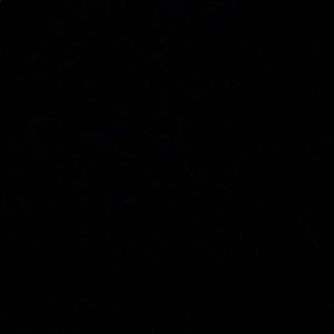 Meet your Posher, Audrina